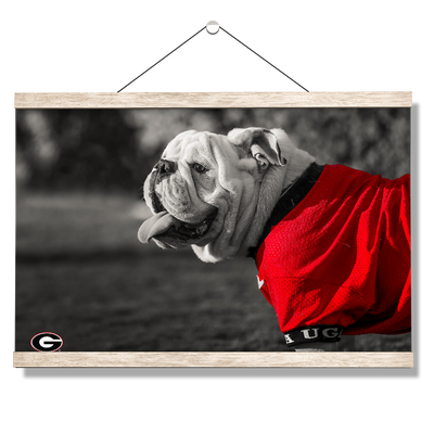 Georgia Bulldogs - Uga Poised - College Wall Art #Hanging Canvas