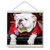 Georgia Bulldogs - Uga Chillin - College Wall Art #Hanging Canvas