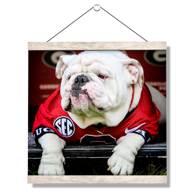 Georgia Bulldogs - Uga Chillin - College Wall Art #Hanging Canvas