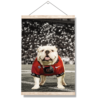 Georgia Bulldogs - Uga Under the Lights - College Wall Art #Hanging Canvas