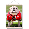 Georgia Bulldogs - Uga Poised II - College Wall Art #Hanging Canvas