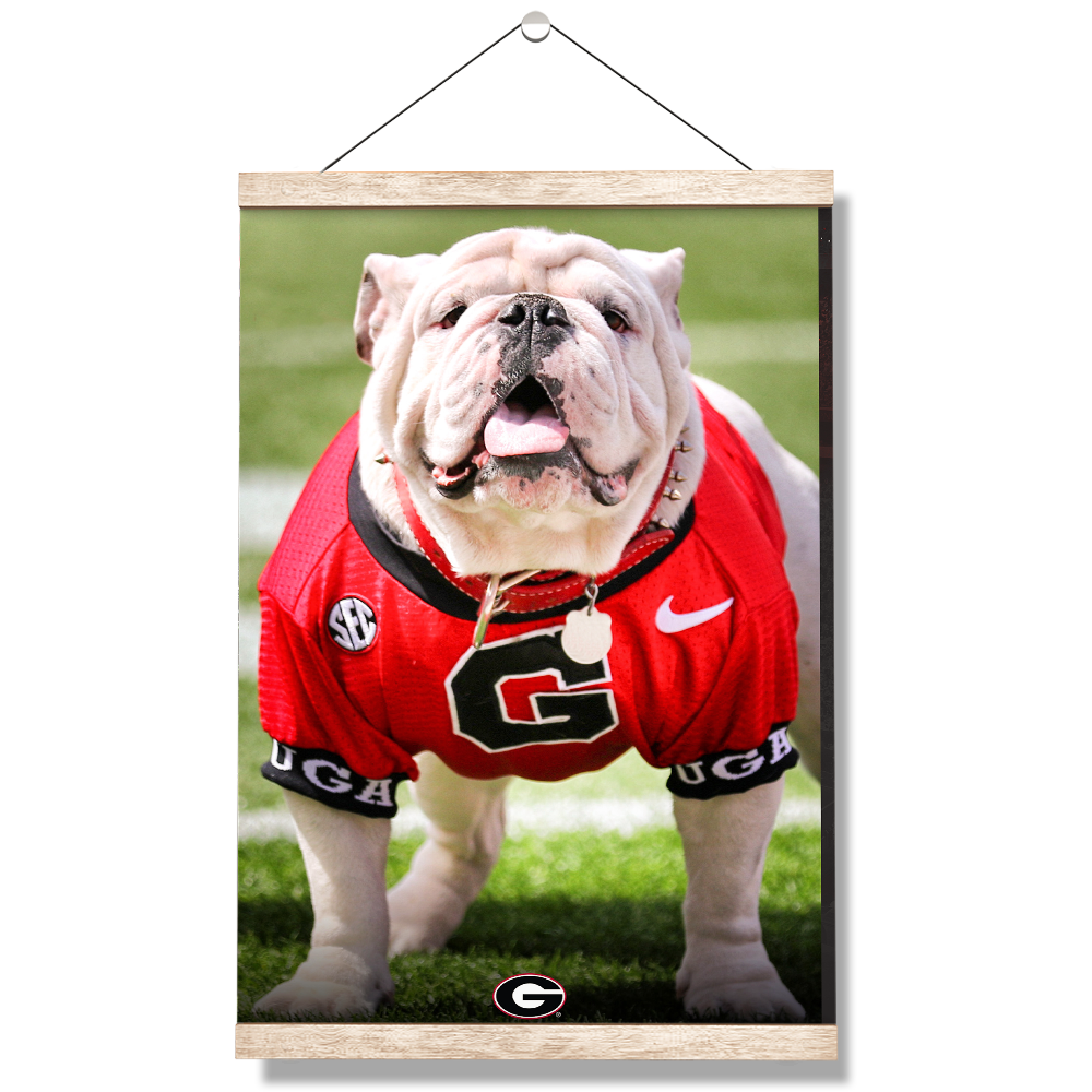 Georgia Bulldogs - Uga Poised II - College Wall Art #Canvas