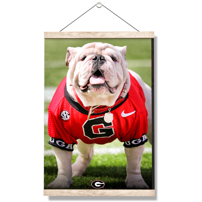 Georgia Bulldogs - Uga Poised II - College Wall Art #Hanging Canvas