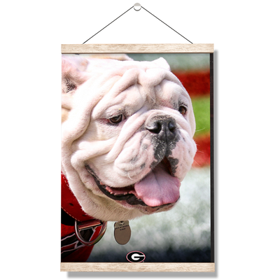 Georgia Bulldogs - Uga Portrait - College Wall Art #Hanging Canvas