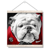 Georgia Bulldogs - Uga Close Up - College Wall Art #Hanging Canvas