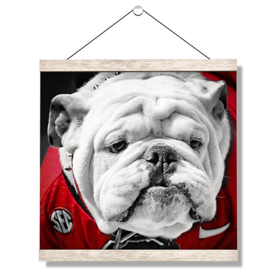 Georgia Bulldogs - Uga Close Up - College Wall Art #Hanging Canvas