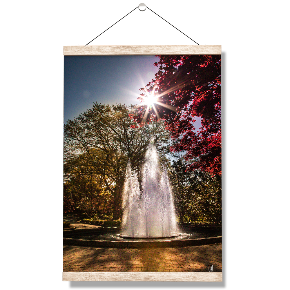 Georgia Bulldogs - The Fountain - College Wall Art #Canvas