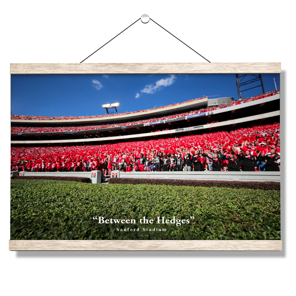 Georgia Bulldogs - Between the Hedges UGA - College Wall  Art #Canvas