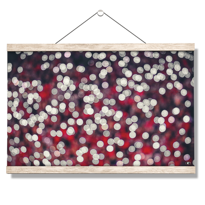 Georgia Bulldogs - Sanford Lights - College Wall Art #Hanging Canvas