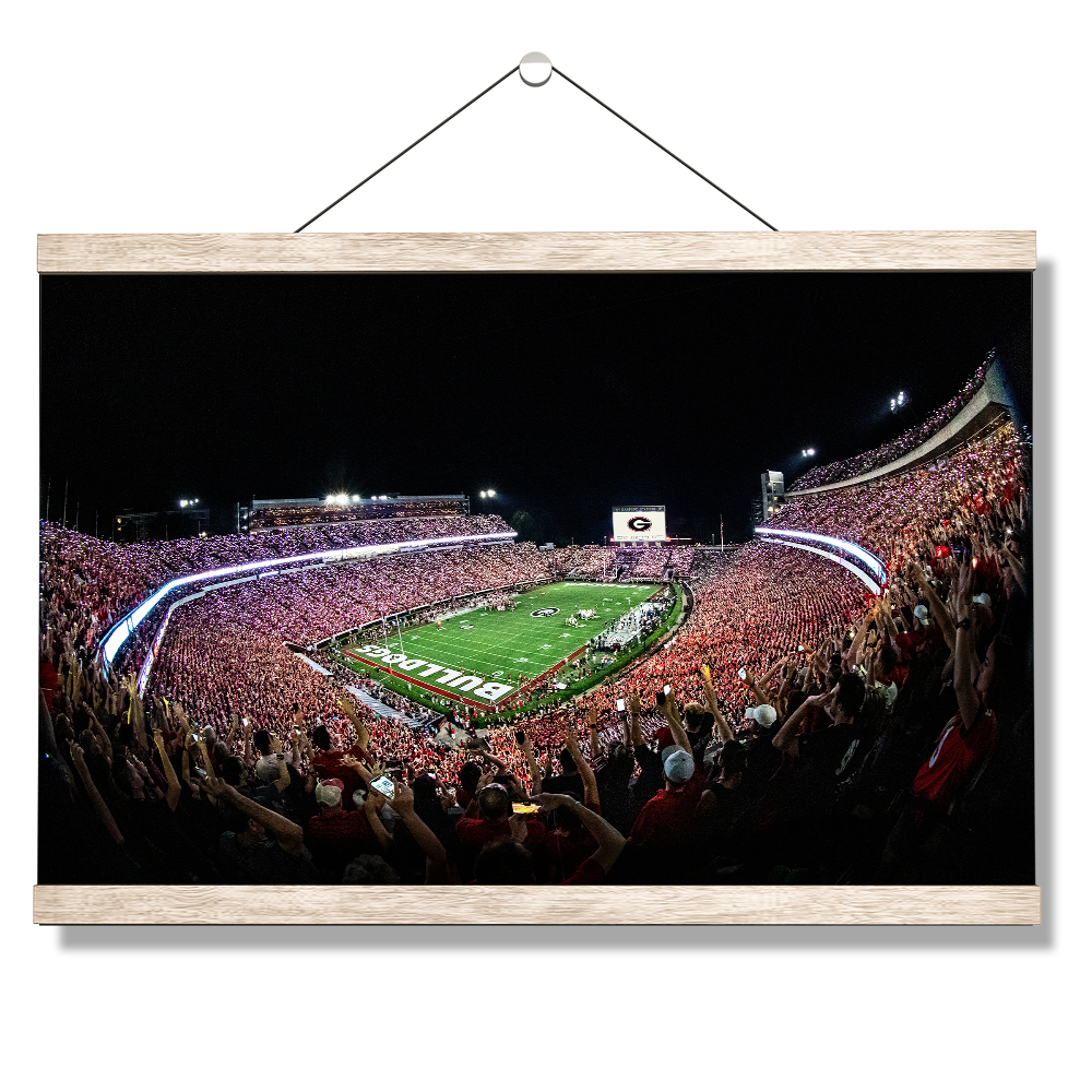 Georgia Bulldogs - Aerial Sanford Lights - College Wall Art #Canvas