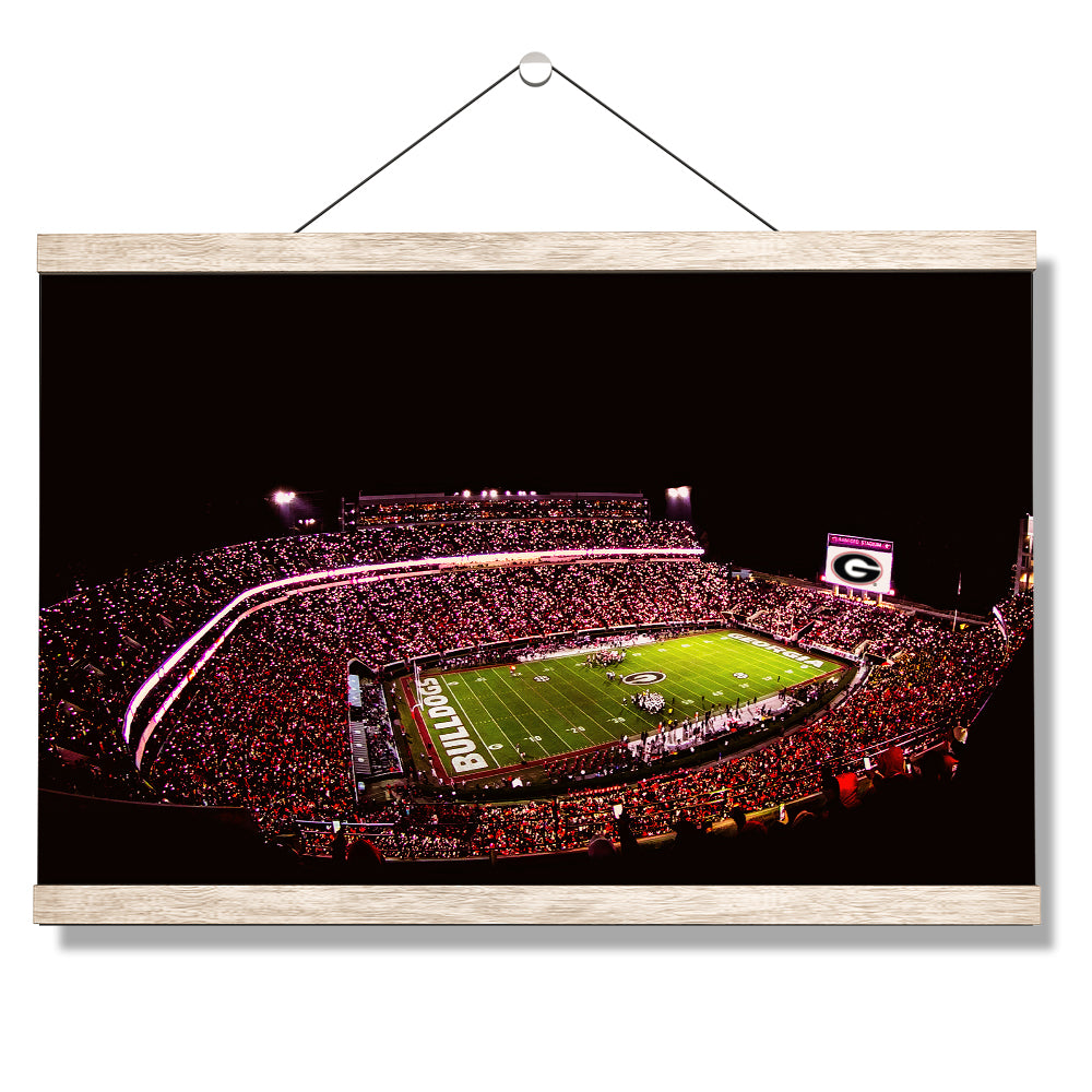 Georgia Bulldogs - Georgia Bulldogs Sanford Lights - College Wall Art #Canvas