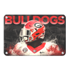 Georgia Bulldogs - Georgia - College Wall Art #Metal