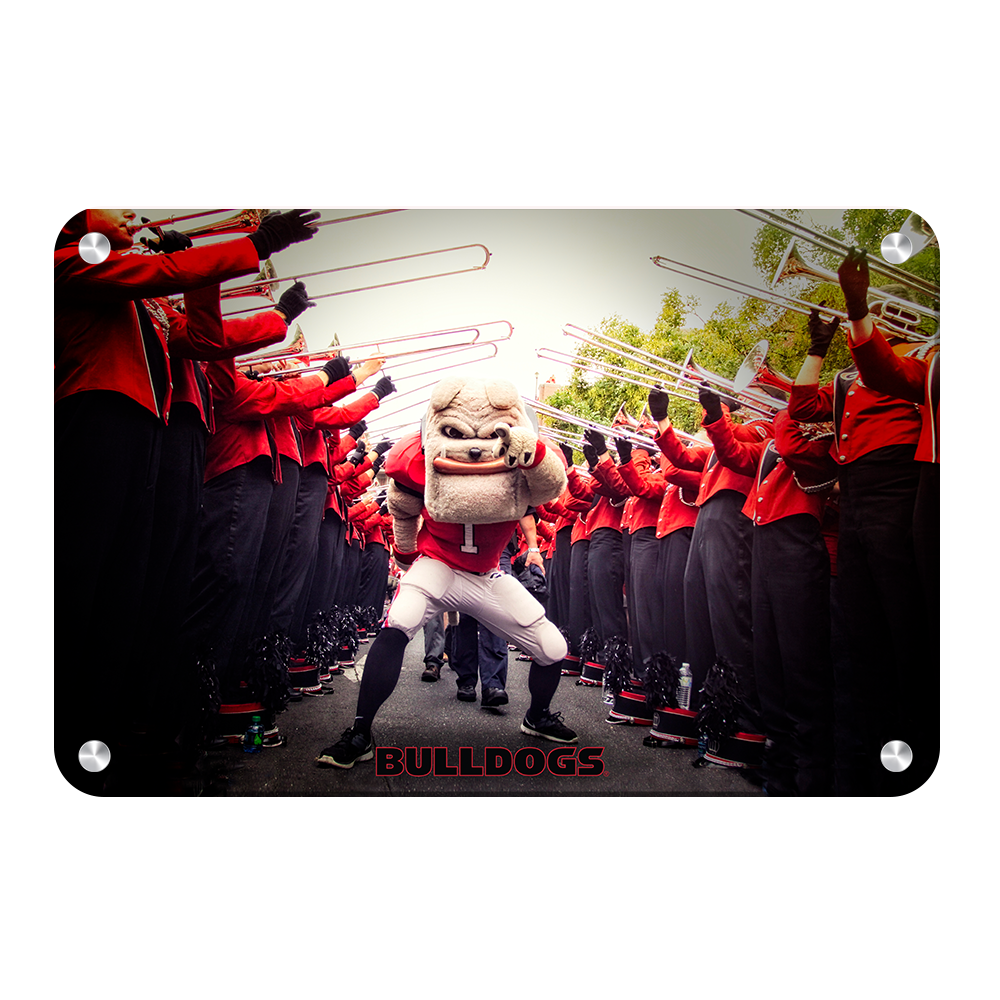 Georgia Bulldogs - Dawg Walk - College Wall Art #Canvas