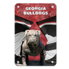 Georgia Bulldogs - Georgia Bulldogs - College Wall Art #Metal