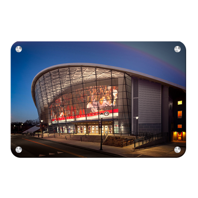 Georgia Bulldogs - Stegeman Coliseum - College Wall Art #Metal