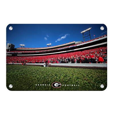 Georgia Bulldogs - Georgia Football - College Wall Art #Metal