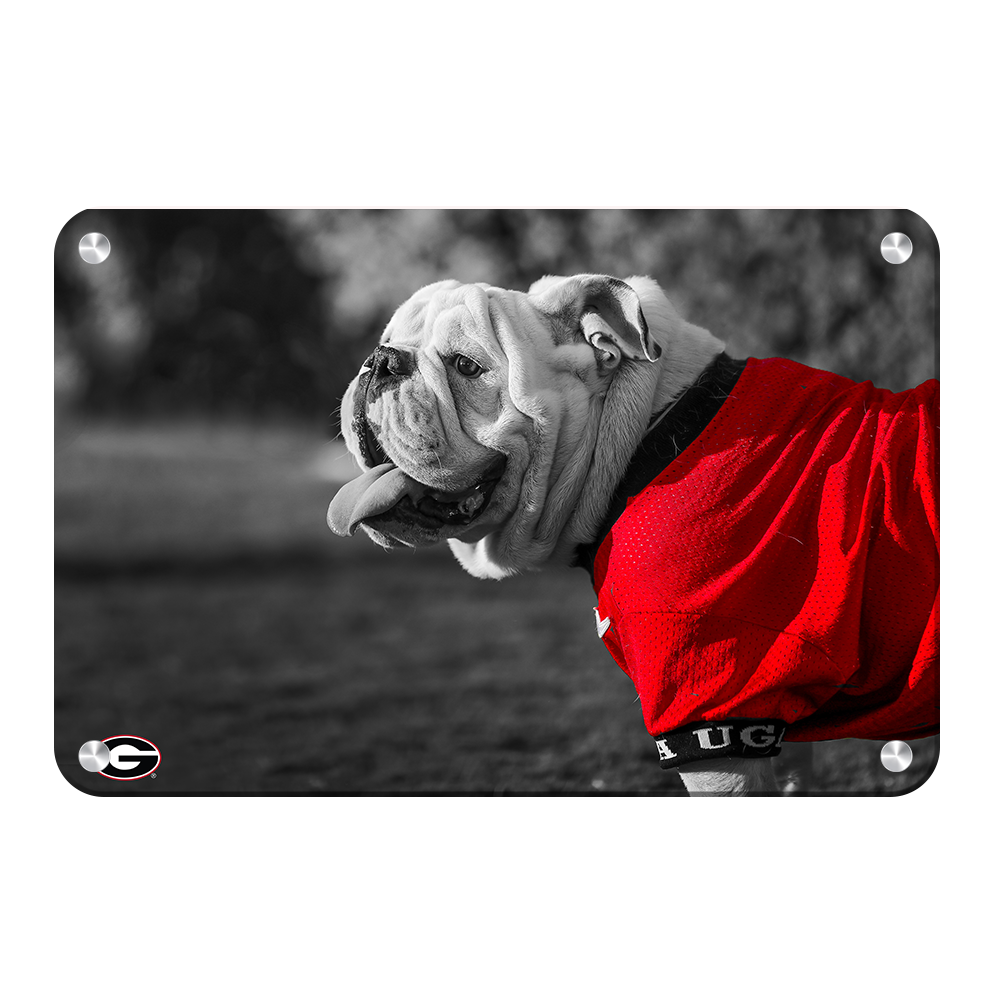 Georgia Bulldogs - Uga Poised - College Wall Art #Canvas