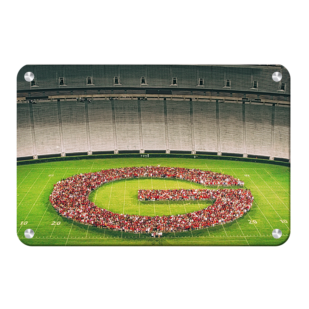 Georgia Bulldogs - The G - College Wall Art #Canvas