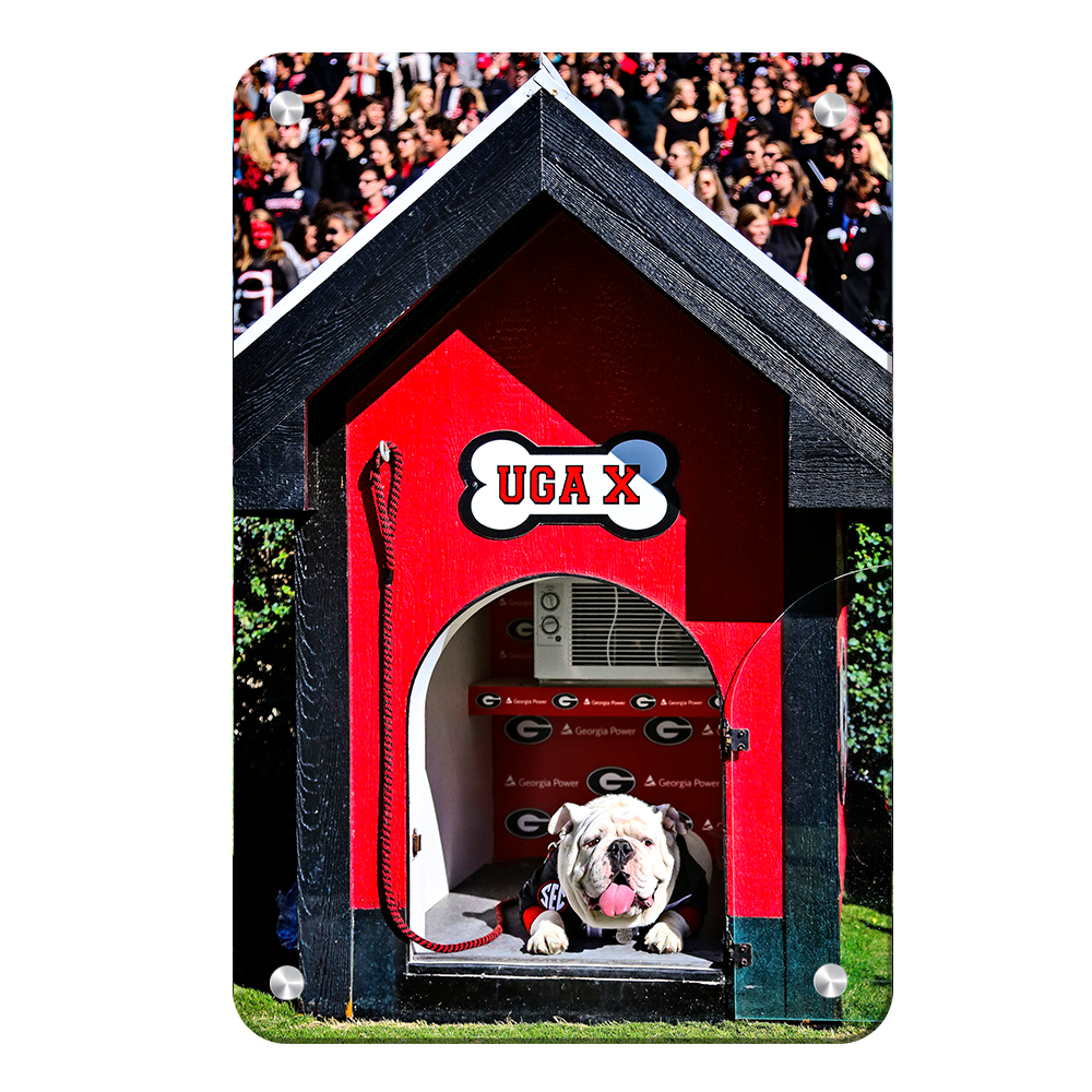 Georgia Bulldogs - Uga X in the House - College Wall Art #Canvas