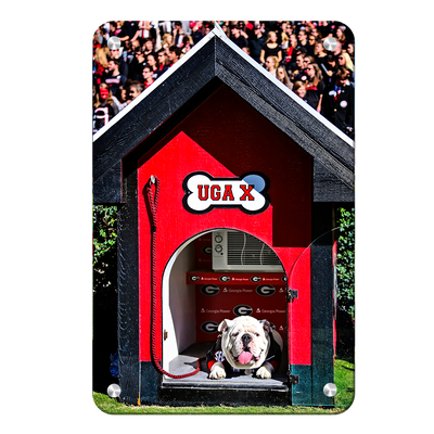 Georgia Bulldogs - Uga X in the House - College Wall Art #Metal