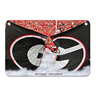 Georgia Bulldogs - Grand G Entrance - College Wall Art #Metal