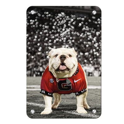 Georgia Bulldogs - Uga Under the Lights - College Wall Art #Metal