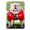 Georgia Bulldogs - Uga Poised II - College Wall Art #Metal