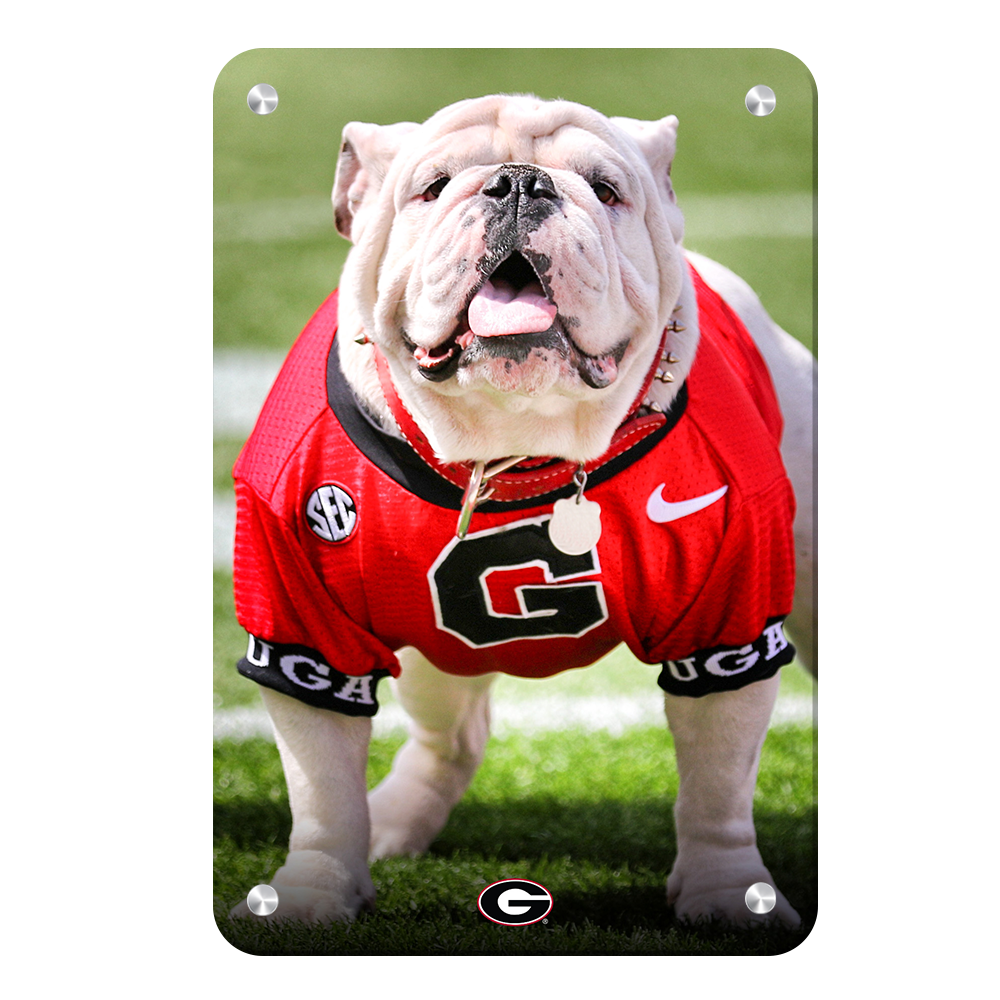 Georgia Bulldogs - Uga Poised II - College Wall Art #Canvas