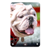 Georgia Bulldogs - Uga Portrait - College Wall Art #Metal