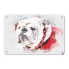 Georgia Bulldogs - Uga Painting - College Wall Art #Metal