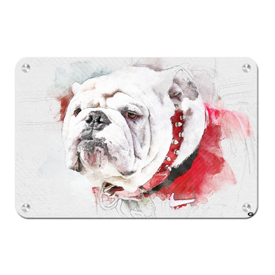 Georgia Bulldogs - Uga Painting - College Wall Art #Metal