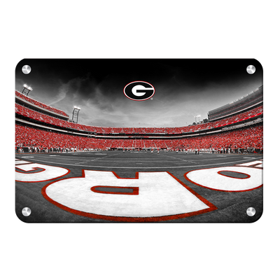 Georgia Bulldogs - Sanford Stadium End Zone Duotone - College Wall Art #Metal