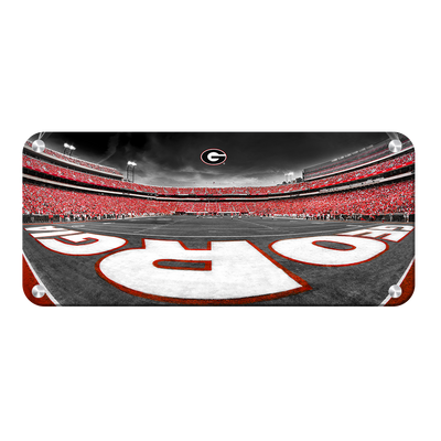 Georgia Bulldogs - Sanford Stadium End Zone Duotone Panoramic - College Wall Art #Metal