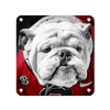 Georgia Bulldogs - Uga Close Up - College Wall Art #Max Metal