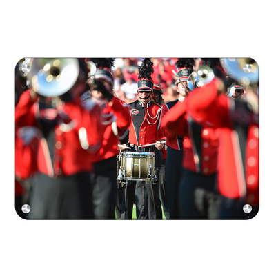 Georgia Bulldogs - Redcoat - College Wall Art #Metal