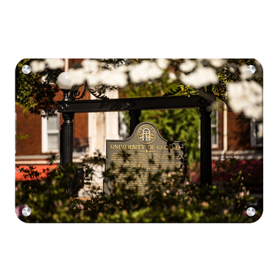 Georgia Bulldogs - Looking Through the Arch - College Wall Art #Metal