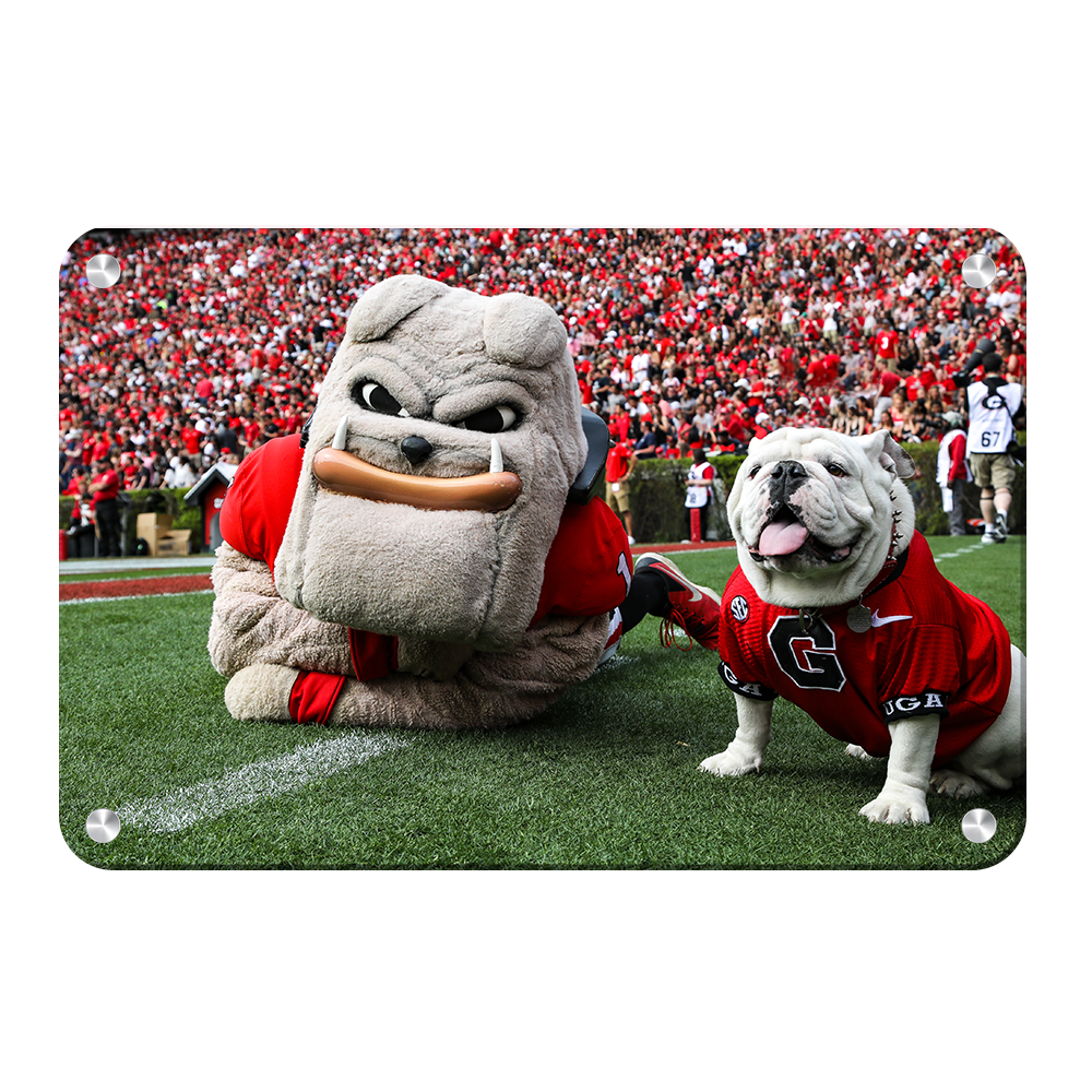 Georgia Bulldogs - Hairy and Uga Game Ready - College Wall Art #Metal