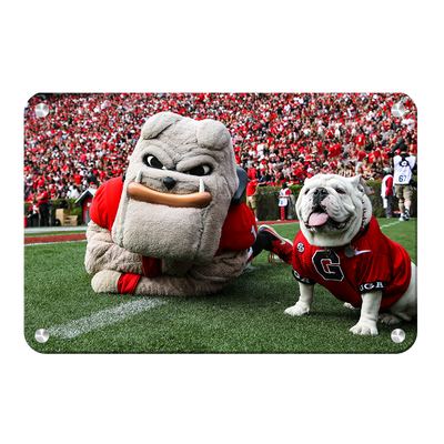 Georgia Bulldogs - Hairy and Uga Game Ready - College Wall Art #Metal