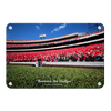 Georgia Bulldogs - Between the Hedges UGA - College Wall Art #Metal