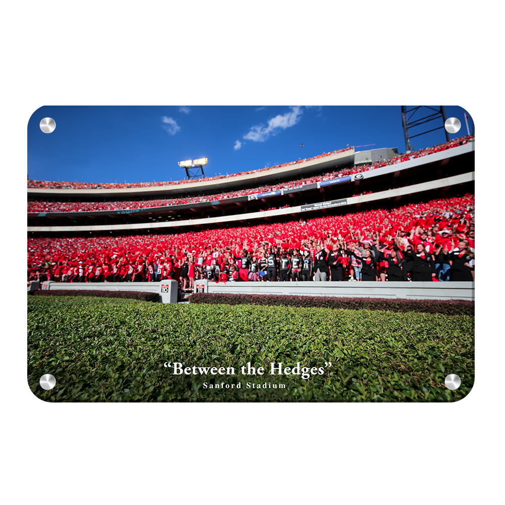 Georgia Bulldogs - Between the Hedges UGA - College Wall  Art #Canvas