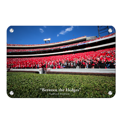 Georgia Bulldogs - Between the Hedges UGA - College Wall Art #Metal