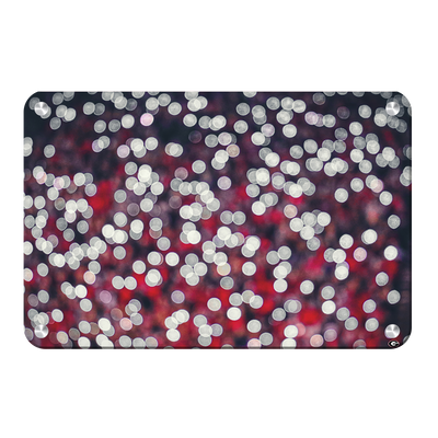 Georgia Bulldogs - Sanford Lights - College Wall Art #Metal