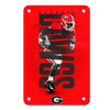 Georgia Bulldogs - Georgia Dawgs - College Wall Art #Metal