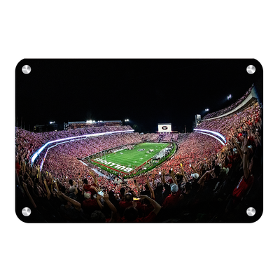 Georgia Bulldogs - Aerial Sanford Lights - College Wall Art #Metal