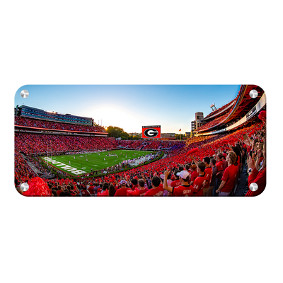 Georgia Bulldogs - Gooooo Georgia Panoramic - College Wall Art #Metal