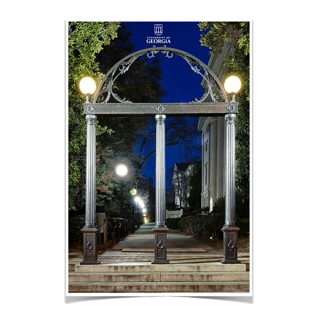 Georgia Bulldogs - Through the Arch - College Wall Art #Canvas