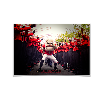 Georgia Bulldogs - Dawg Walk - College Wall Art #Poster