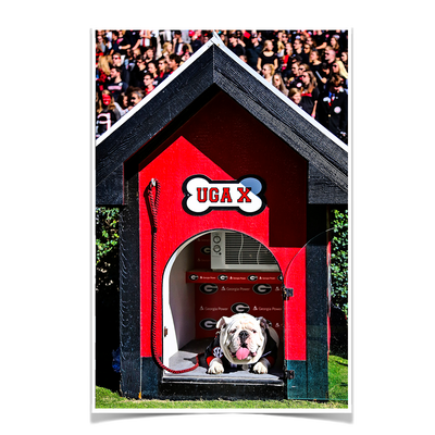 Georgia Bulldogs - Uga X in the House - College Wall Art #Poster