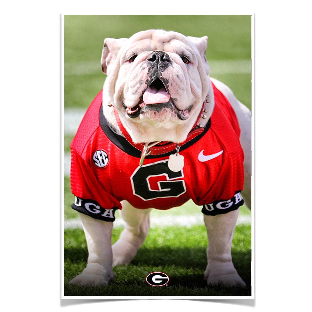 Georgia Bulldogs - Uga Poised II - College Wall Art #Canvas