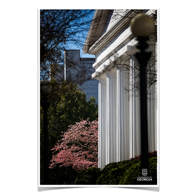 Georgia Bulldogs - Pillars of Strength - College Wall Art #Poster